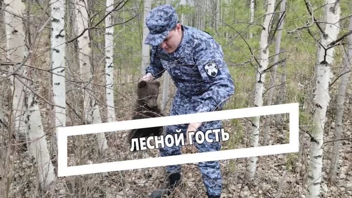 Лесной гость.mp4