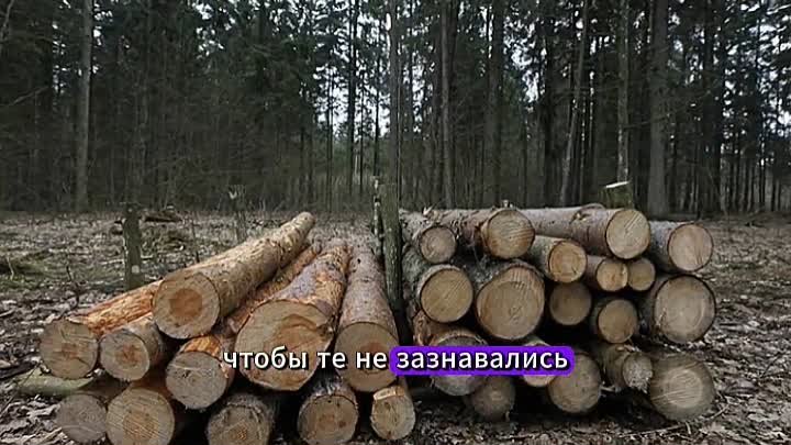 Финны осознали