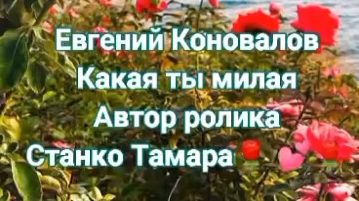 Евгений Коновалов. Какая ты милая🌹💕🌹