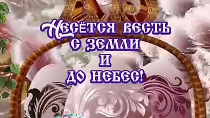 VID_20240505_115019_010.mp4