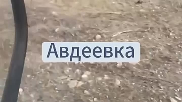 Русофриц показывает разбросаный ливер русни под Авдеевкой