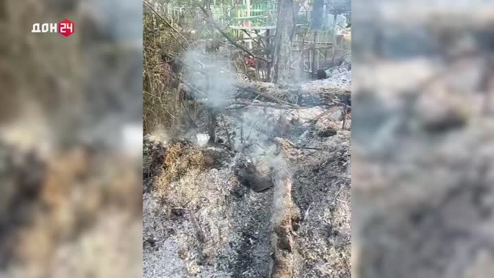 Кладбище горело в городе Шахты