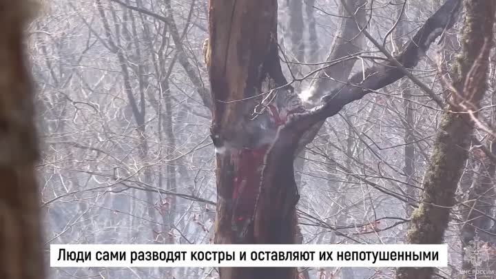 Противопожарный 👨‍🚒 режим Приамурье.mp4