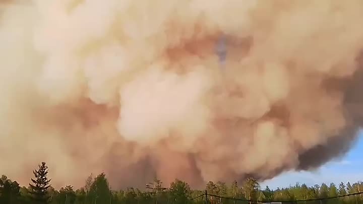 Лесной пожар в Нелятах