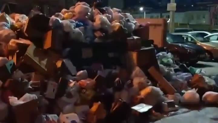 Воронеж утопает в мусоре
