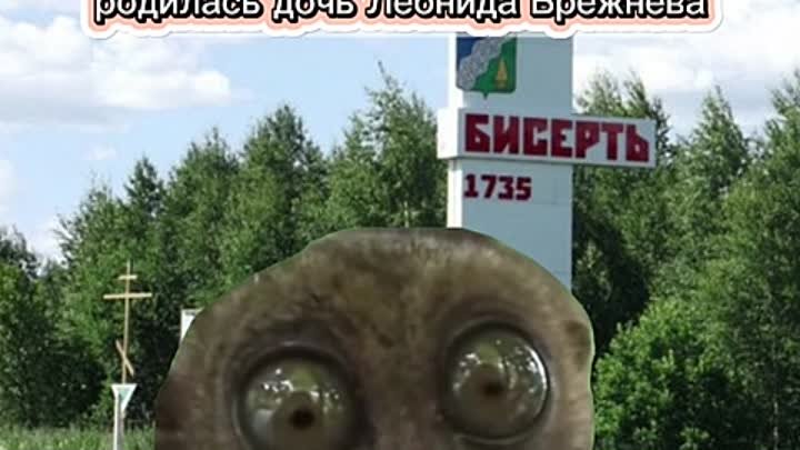 Видео от Алены Осиповой (6)