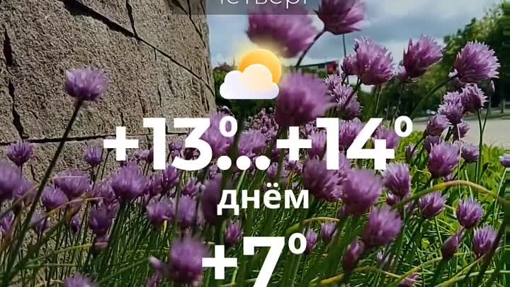 Погода в Солигорске на 16 мая