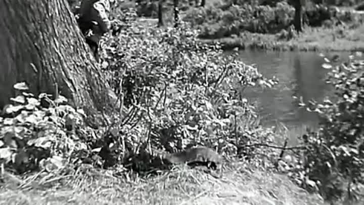 Чапаев (1934) - Брат Митька помирает, ухи просит... [get-save.com]