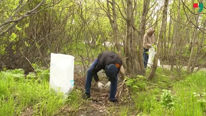 Принять участие в уборке территорий в своих городах и малых населённ ...