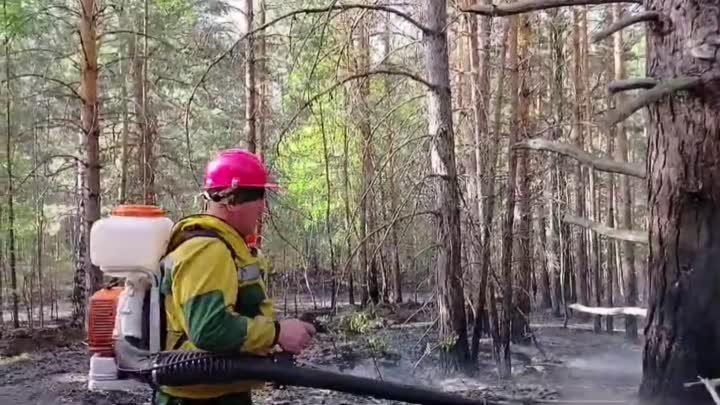 В Шушенском районе ликвидировали лесной пожар