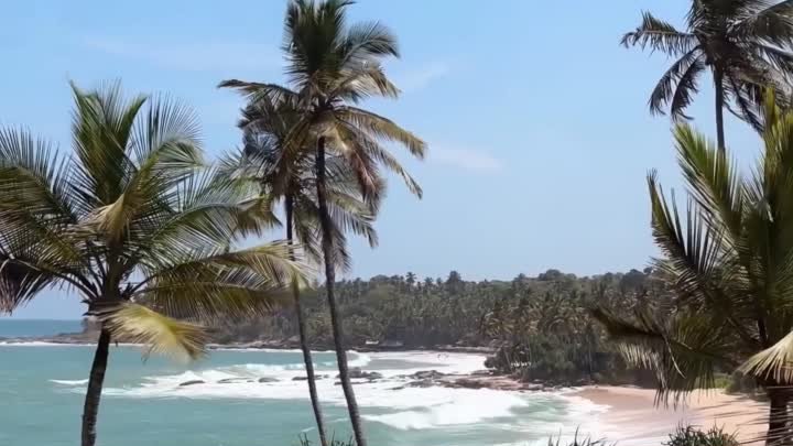 Нашли самый атмосферный отель Шри Ланки 🔥