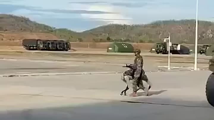 🇨🇳 Китайский солдат выгуливает боевую робо-собаку