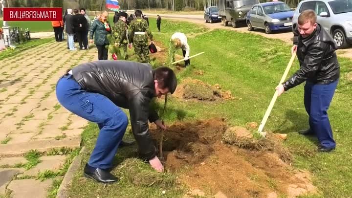 На Поле Памяти у д. Красный Холм вязьмичи высадили аллею в память о  ...