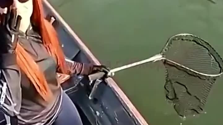 Видео от Рыболов | КЛЁВая рыбалка