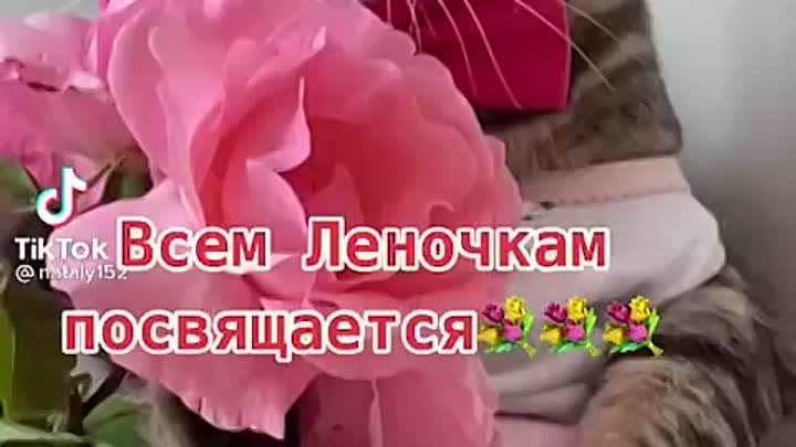 Для всех Леночек...💖💖💖