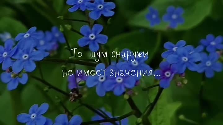 Гр.Ощущения...