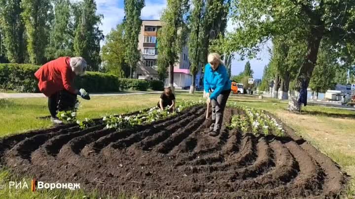 Высадили цветы в Лисках