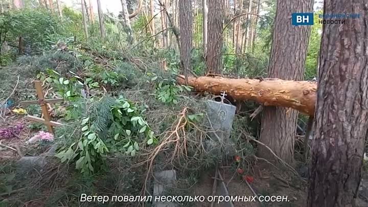 Кладбище в Воронеже оказалось завалено деревьями из-за ветра