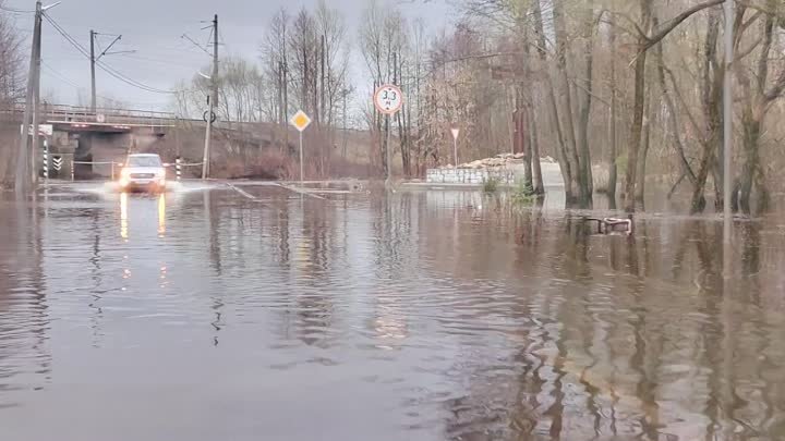 РАЗЛИВ В РАДИЦЕ - 2024. ЕДЕМ ПОД МОСТОМ.