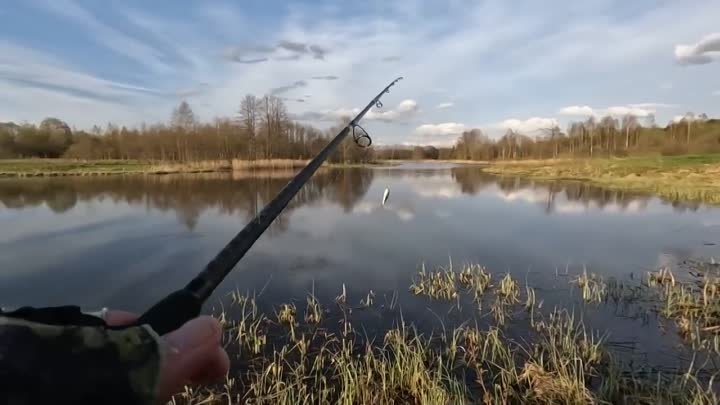 ЩУКА не боится БОЛЬШИХ ПРИМАНОК! Лавля ЩУКИ на ВОБЛЕРЫ весной! Рыбал ...