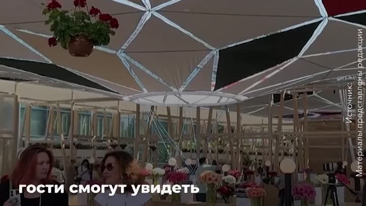 Необычный фестиваль на выставке “Россия”