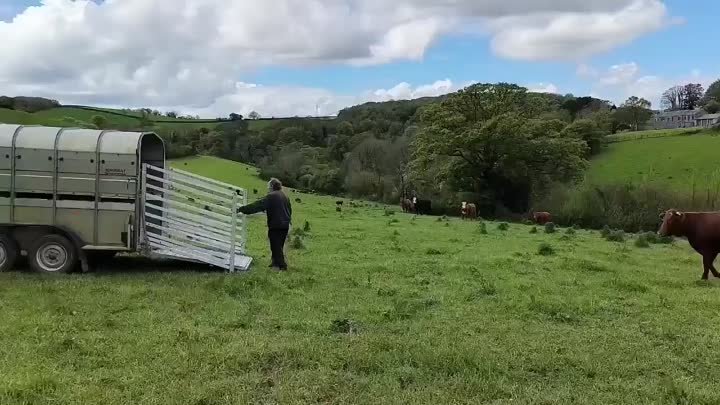 Видео от Дачные хитрости