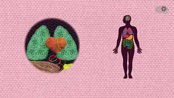 Чем раковые клетки отличаются от здоровых