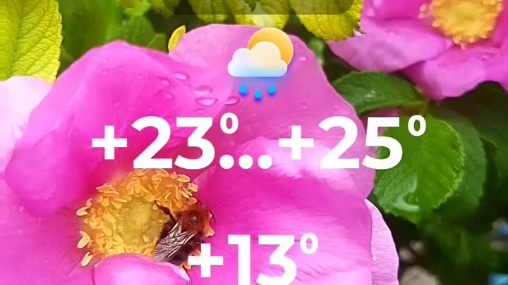 Погода в Солигорске на 22 мая