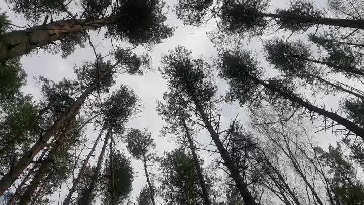 Видео от Заиры Камиловой