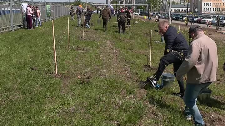 В Благовещенске прошла международная акция «Сад Памяти»