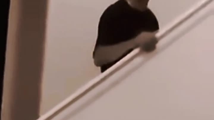 Мужчина поднимается по лестнице так, как будто едет на эскалаторе 