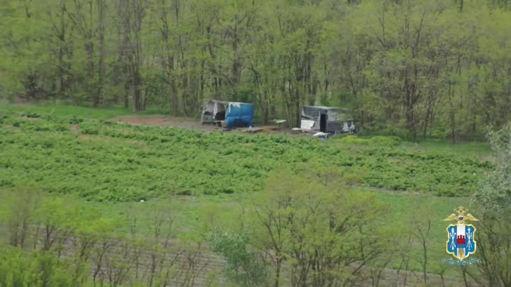 Полицейские обнаружили незаконных трудовых мигрантов на полях Ростов ...