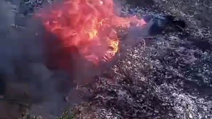 Лесные пожарные преследуют нарушителя