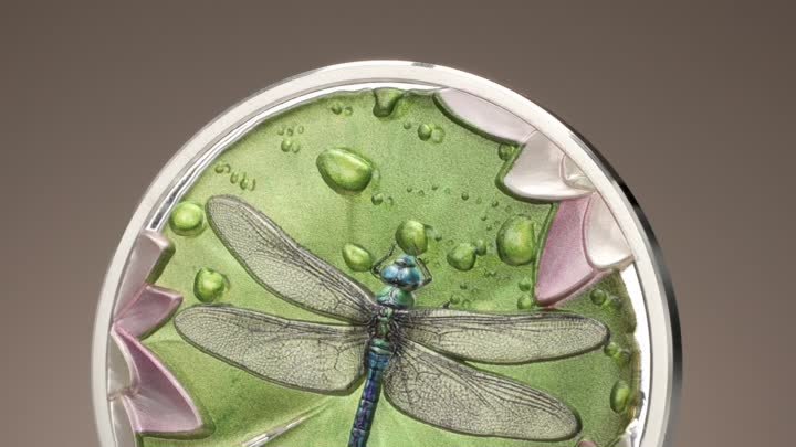 Lily - Pad Dragonfly