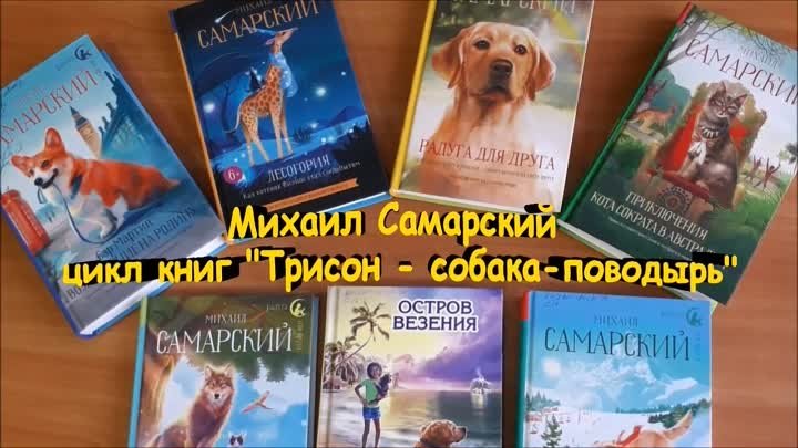 Собаки - наши помощники