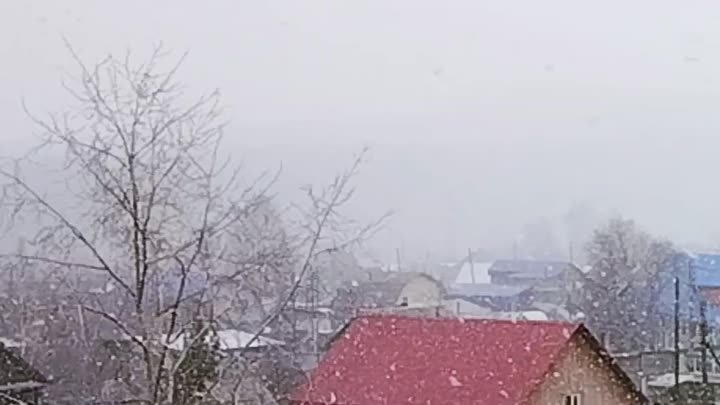 Снегопад. Урал, г.Краснотурьинск. 6 мая 2024 года.