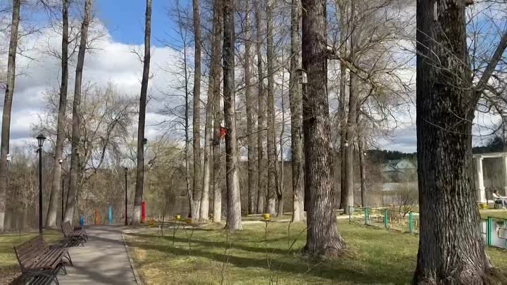 Весна в парке Вербилки