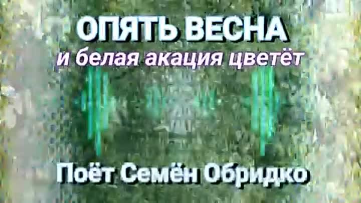 🌈ОПЯТЬ ВЕСНА и Белая акация ЦВЕТЁТ 🍀 Семён Обридко