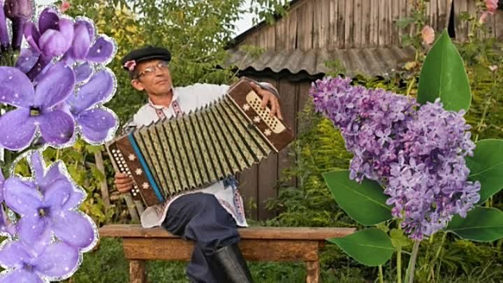 Мамин старенький дом...(Татьяна Пермякова).