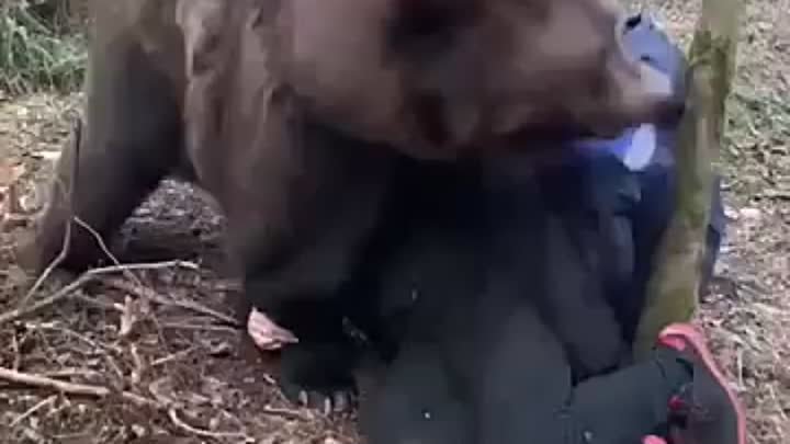 Обычное дело в России поиграть с медведем 🔥🤣🔥