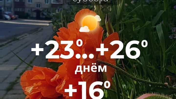 Погода в Солигорске на 25 мая