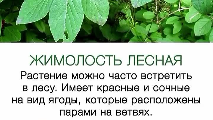 Опасно для детей 