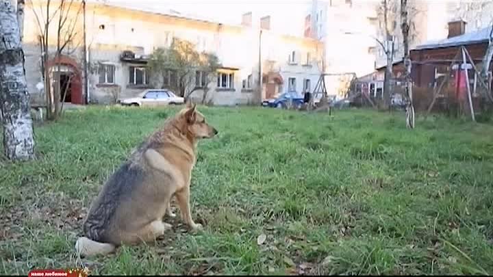 Тайны нашего кино - Старший сын