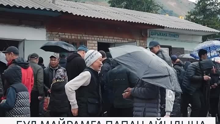 Видео