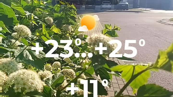Погода в Солигорске на 26 мая