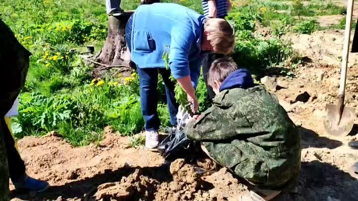 В Чисмене посадили деревья