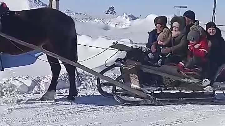 Катание детей на лошади.