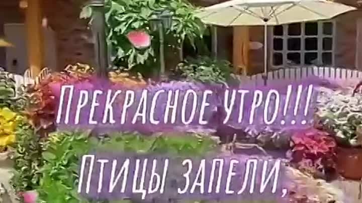 video_7939614053675.mp4