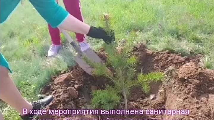 Видео