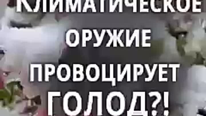 " ПО ВСЕМ РЕГИОНАМ РОССИИ И НЕ ТОЛЬКО МОРОЗЫ. В МАЕ, СНЕГ И ПЛО ...